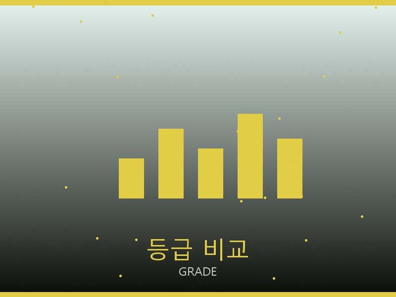 루이비통 레플리카 사이트 등급 기준 비교